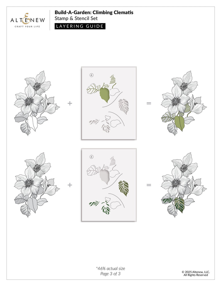 Build-A-Garden Set Build-A-Garden: Climbing Clematis
