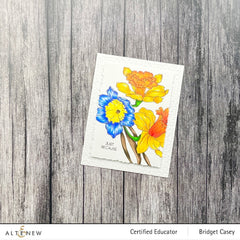 Build-A-Garden Set Build-A-Garden: Daffodil Delight