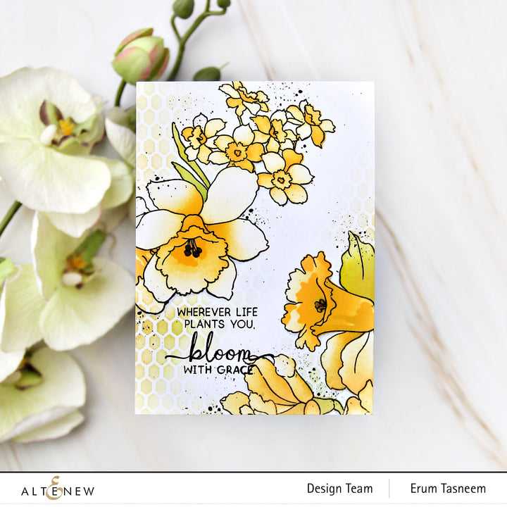 Build-A-Garden Set Build-A-Garden: Daffodil Delight