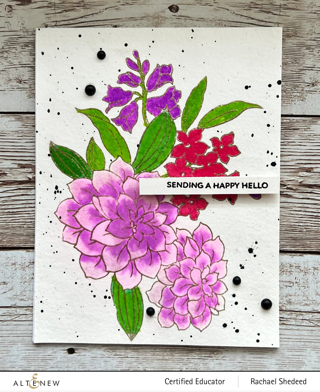 Build-A-Garden Set Build-A-Garden: Dear Dahlias