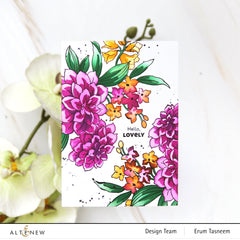 Build-A-Garden Set Build-A-Garden: Dear Dahlias