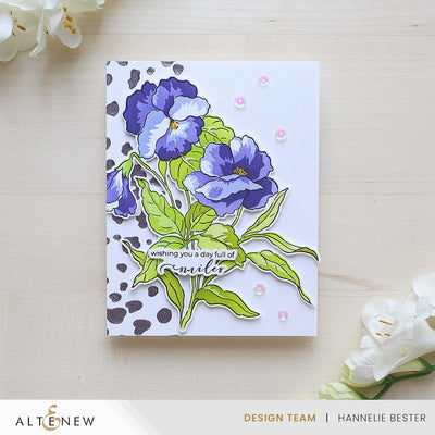 Build-A-Garden Set Build-A-Garden: Fanciful Pansies