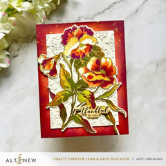 Build-A-Garden Set Build-A-Garden: Fanciful Pansies