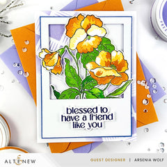 Build-A-Garden Set Build-A-Garden: Fanciful Pansies