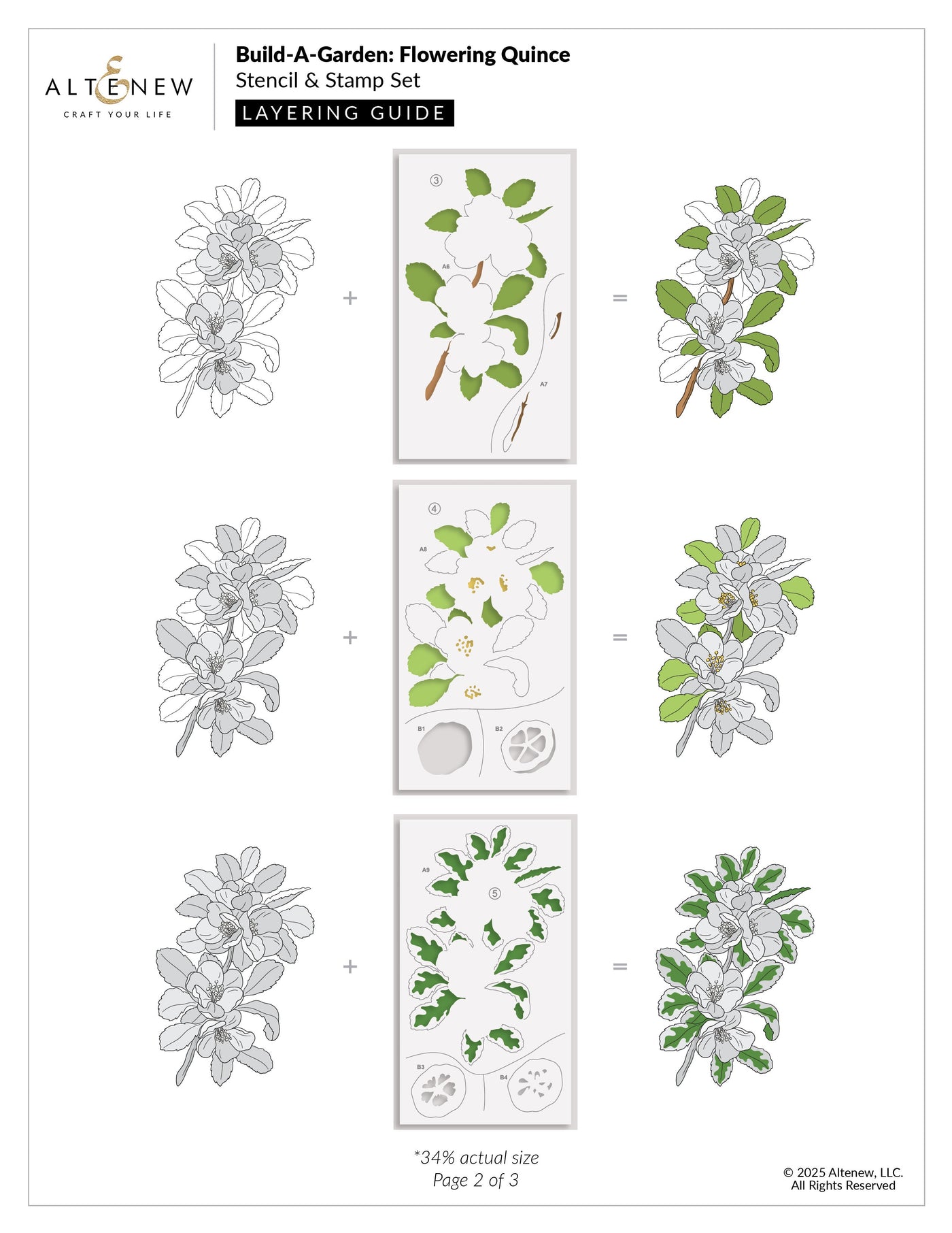 Build-A-Garden Set Build-A-Garden: Flowering Quince