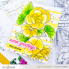 Build-A-Garden Set Build-A-Garden: Frilly Begonia