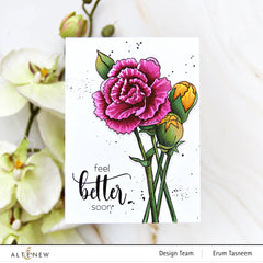 Build-A-Garden Set Build-A-Garden: Grand Carnations