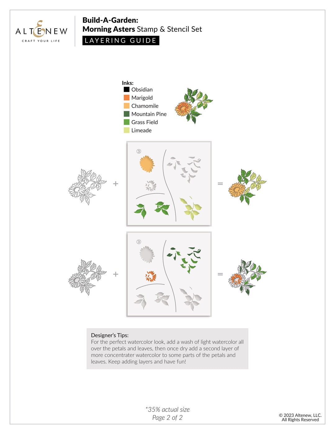 Build-A-Garden Set Build-A-Garden: Morning Asters