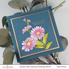 Build-A-Garden Set Build-A-Garden: Morning Asters