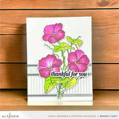 Build-A-Garden Set Build-A-Garden: Morning Glory