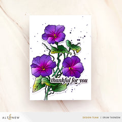 Build-A-Garden Set Build-A-Garden: Morning Glory