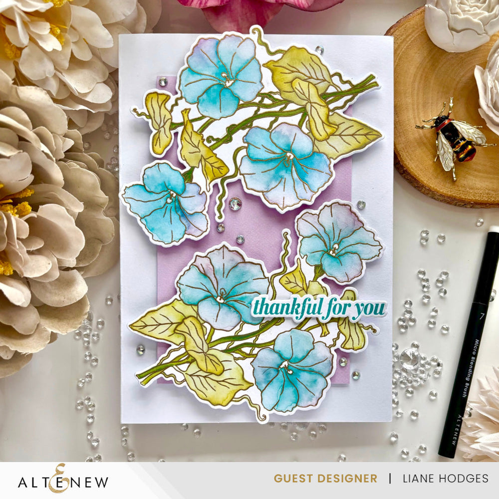 Build-A-Garden Set Build-A-Garden: Morning Glory