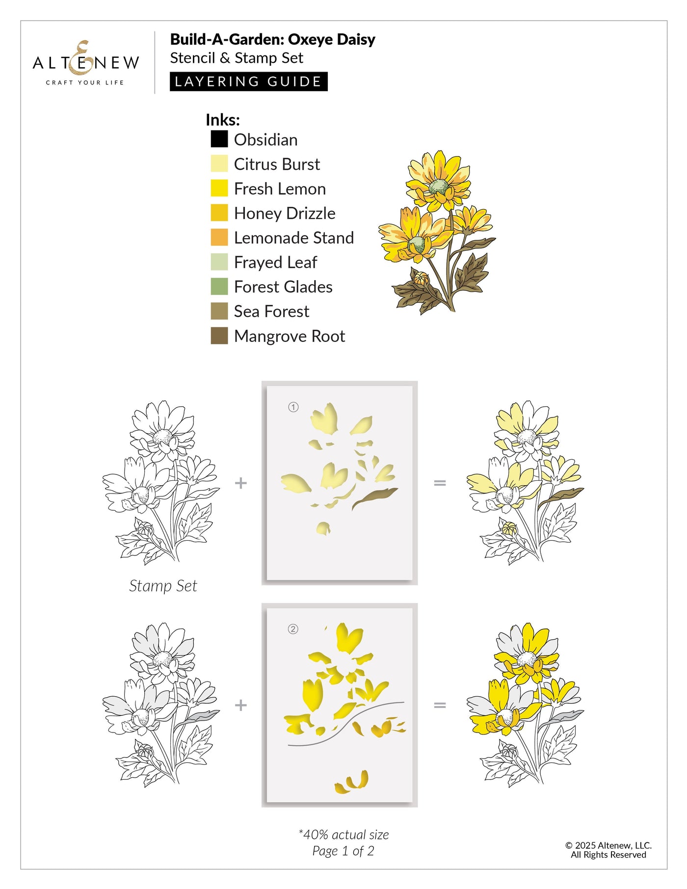 Build-A-Garden Set Build-A-Garden: Oxeye Daisy