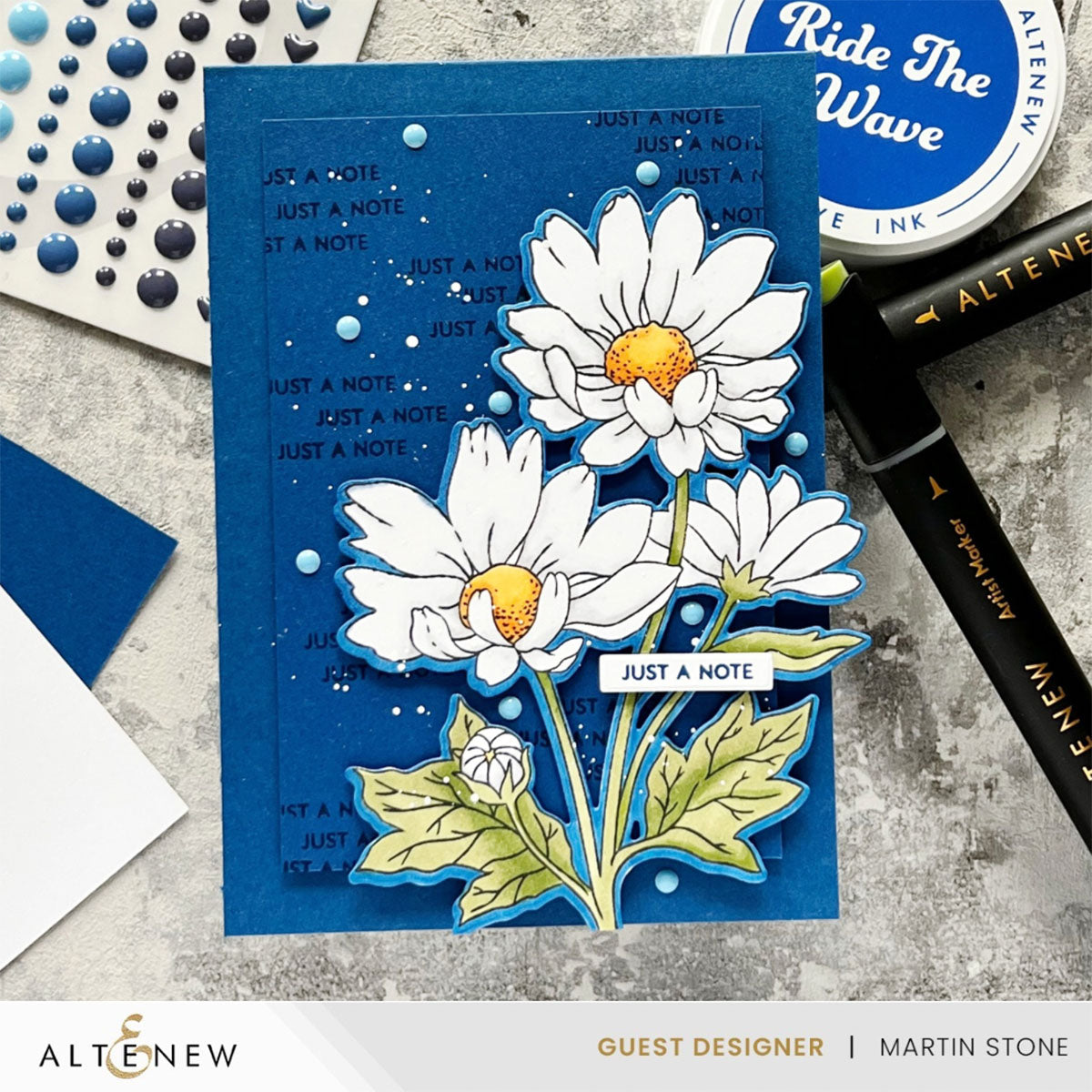 Build-A-Garden Set Build-A-Garden: Oxeye Daisy