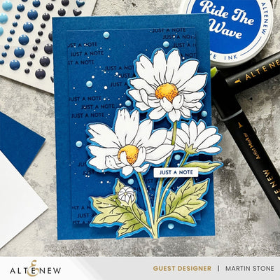 Build-A-Garden Set Build-A-Garden: Oxeye Daisy