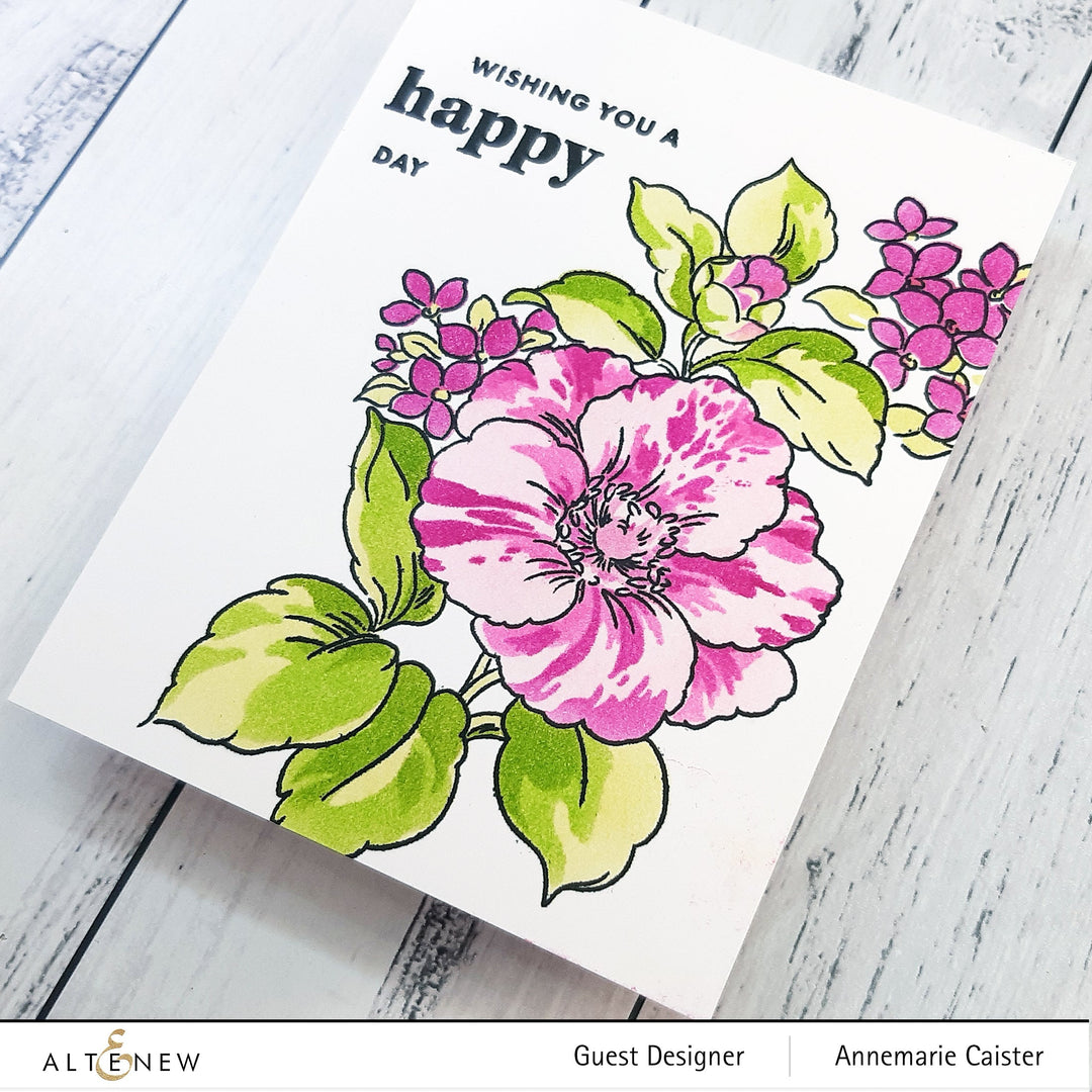 Build-A-Garden Set Build-A-Garden: Rosa Gallica