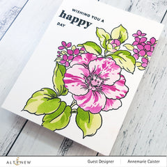 Build-A-Garden Set Build-A-Garden: Rosa Gallica