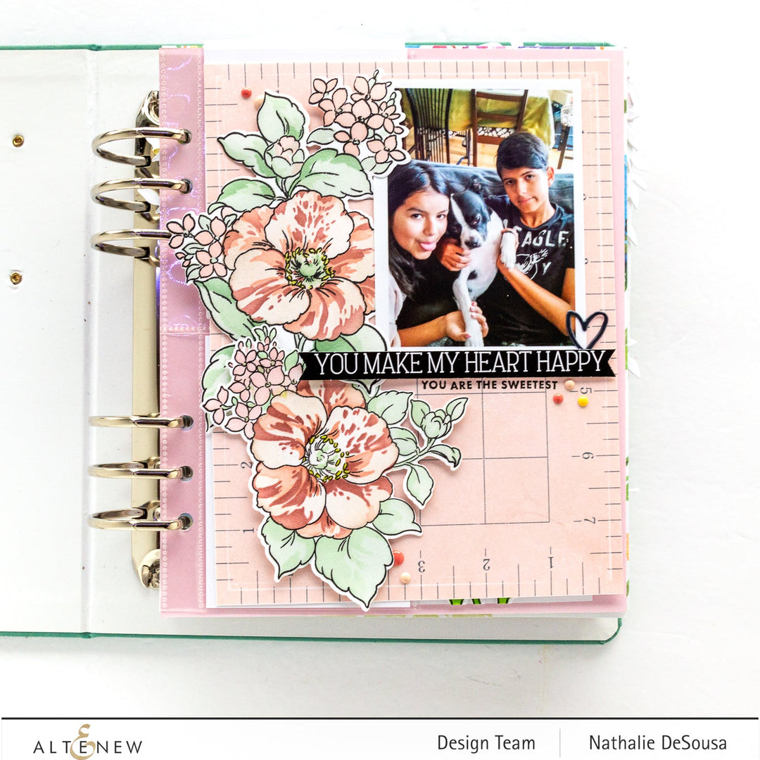 Build-A-Garden Set Build-A-Garden: Rosa Gallica