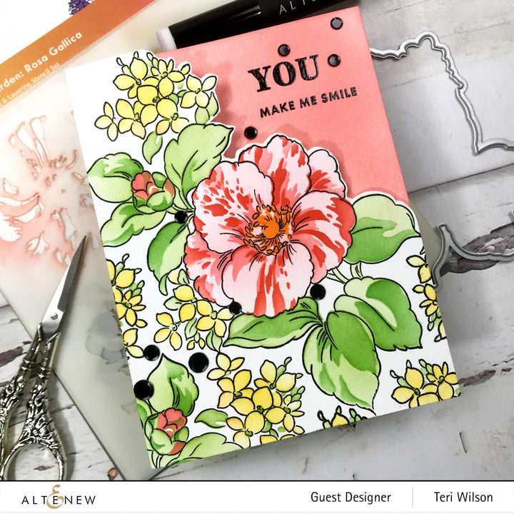 Build-A-Garden Set Build-A-Garden: Rosa Gallica