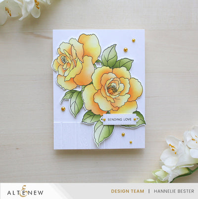 Build-A-Garden Set Build-A-Garden: Rose Reverie