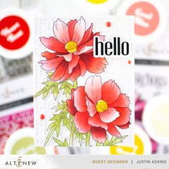 Build-A-Garden Set Build-A-Garden: Sulfur Cosmos