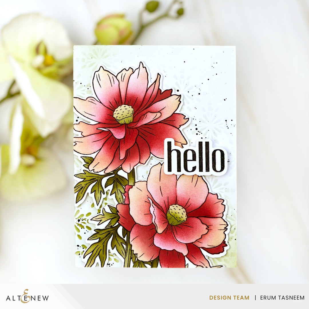 Build-A-Garden Set Build-A-Garden: Sulfur Cosmos