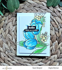 Build-A-Garden Set Build-A-Garden: Tulips & Friends