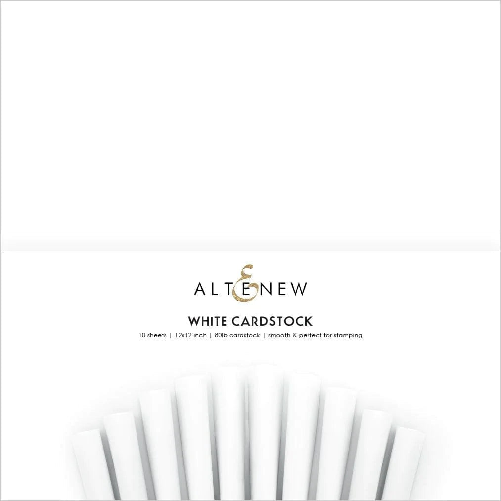 Cardstock 12x12 White Cardstock (10 sheet/set) (80lb)