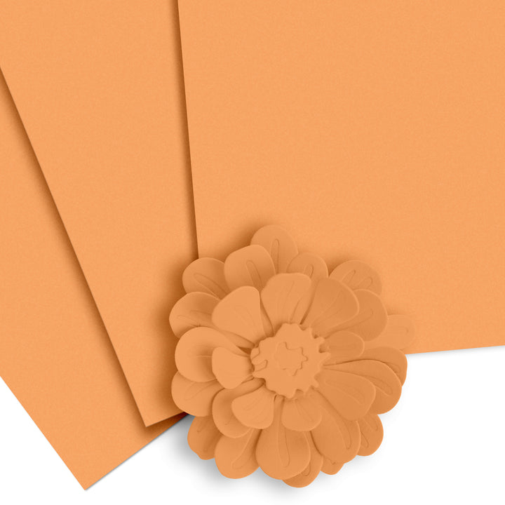 Cardstock Crafty Necessities: Chamomile Cardstock (10 sheets/set)