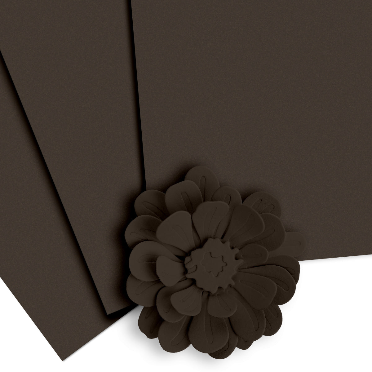 Cardstock Crafty Necessities: Dark Chocolate Cardstock (10 sheets/set)