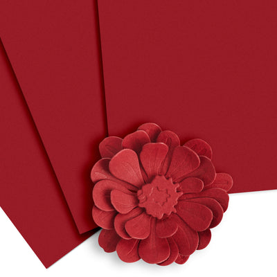 Cardstock Crafty Necessities: Heart Beat Cardstock (10 sheets/set)