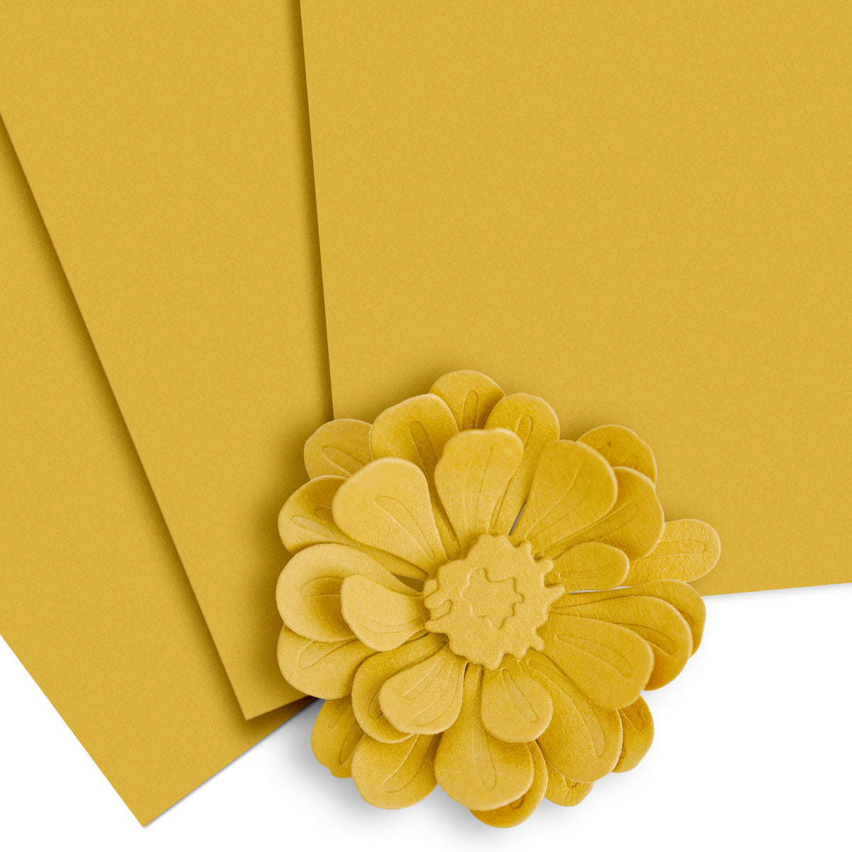 Cardstock Crafty Necessities: Honey Drizzle Cardstock (10 sheets/set)