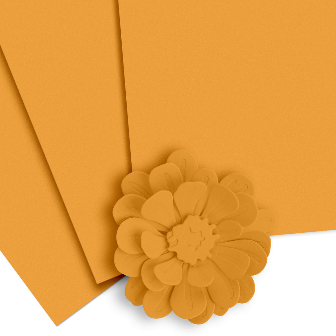 Cardstock Crafty Necessities: Lemonade Stand Cardstock (10 sheets/set)