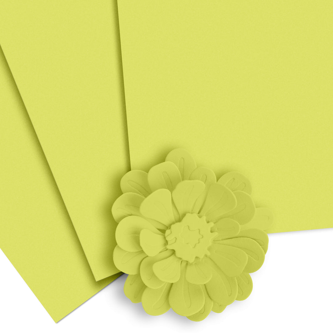 Cardstock Crafty Necessities: Limeade Cardstock (10 sheets/set)