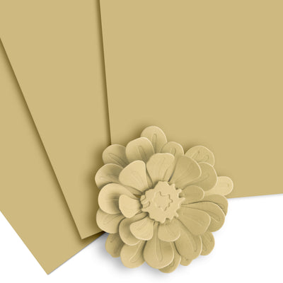 Cardstock Crafty Necessities: Marshland Cardstock (10 sheets/set)