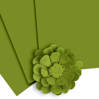 Cardstock Crafty Necessities: Olive Cardstock (10 sheets/set)