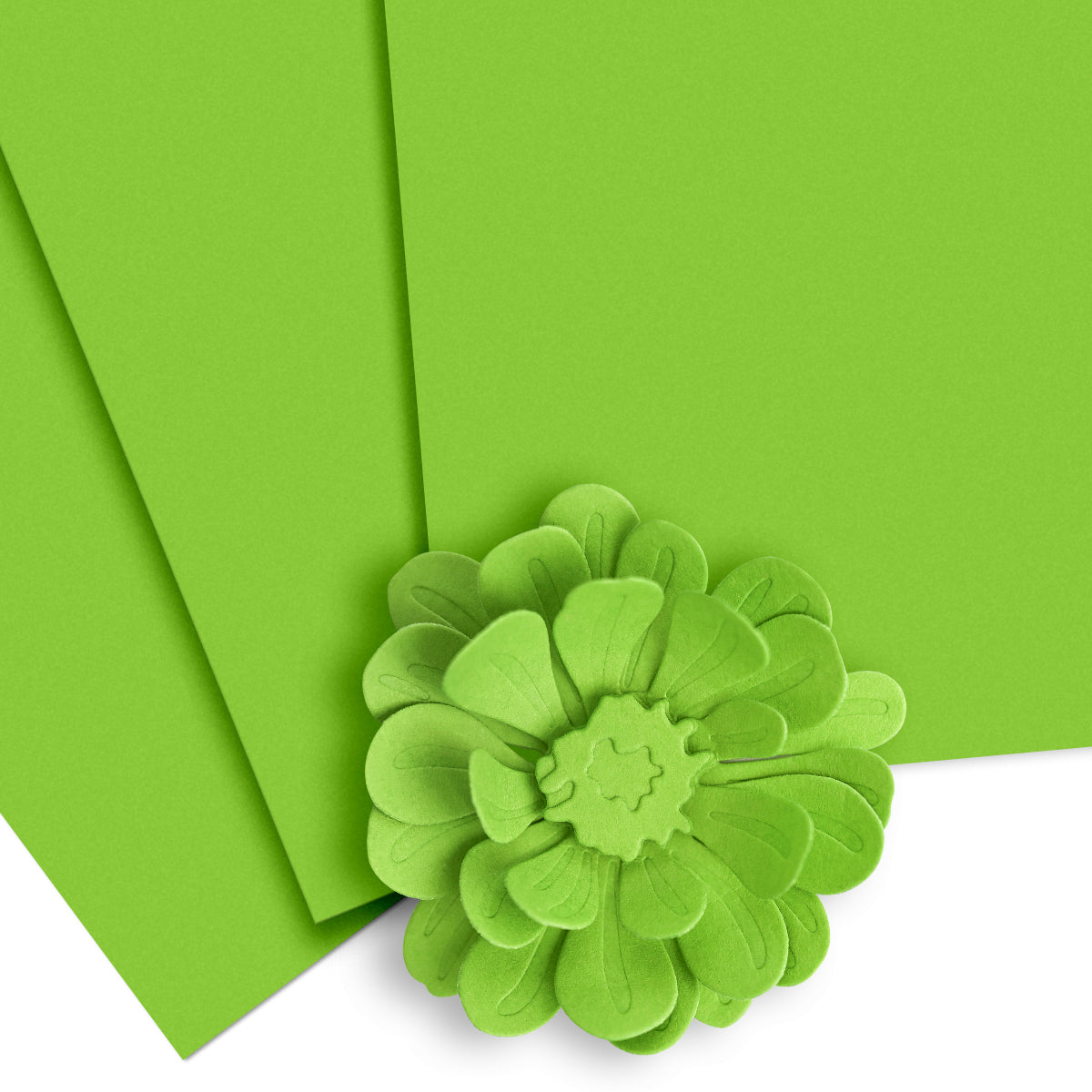 Cardstock Crafty Necessities: Parrot Cardstock (10 sheets/set)