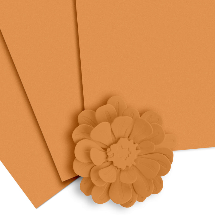 Cardstock Crafty Necessities: Pumpkin Pie Cardstock (10 sheets/set)