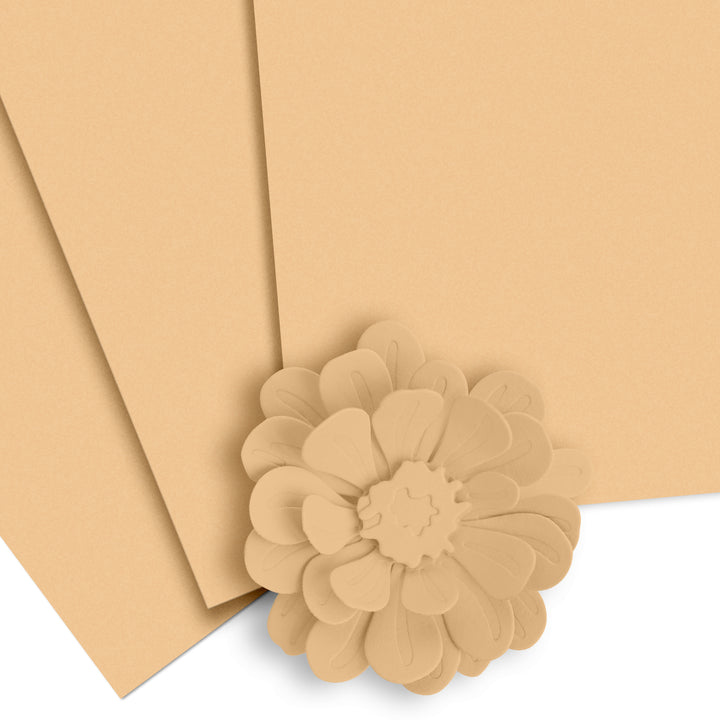 Cardstock Crafty Necessities: Vanilla Cream Cardstock (10 sheets/set)