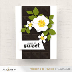 Cardstock The Ultimate Cardstock Sampler Pack