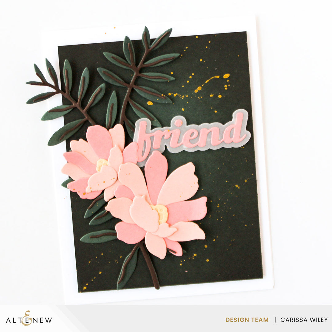 Cardstock The Ultimate Cardstock Sampler Pack