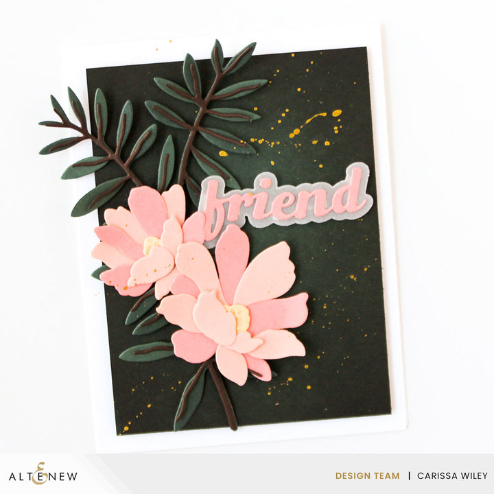 Cardstock The Ultimate Cardstock Sampler Pack