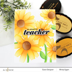 Class Daisies
