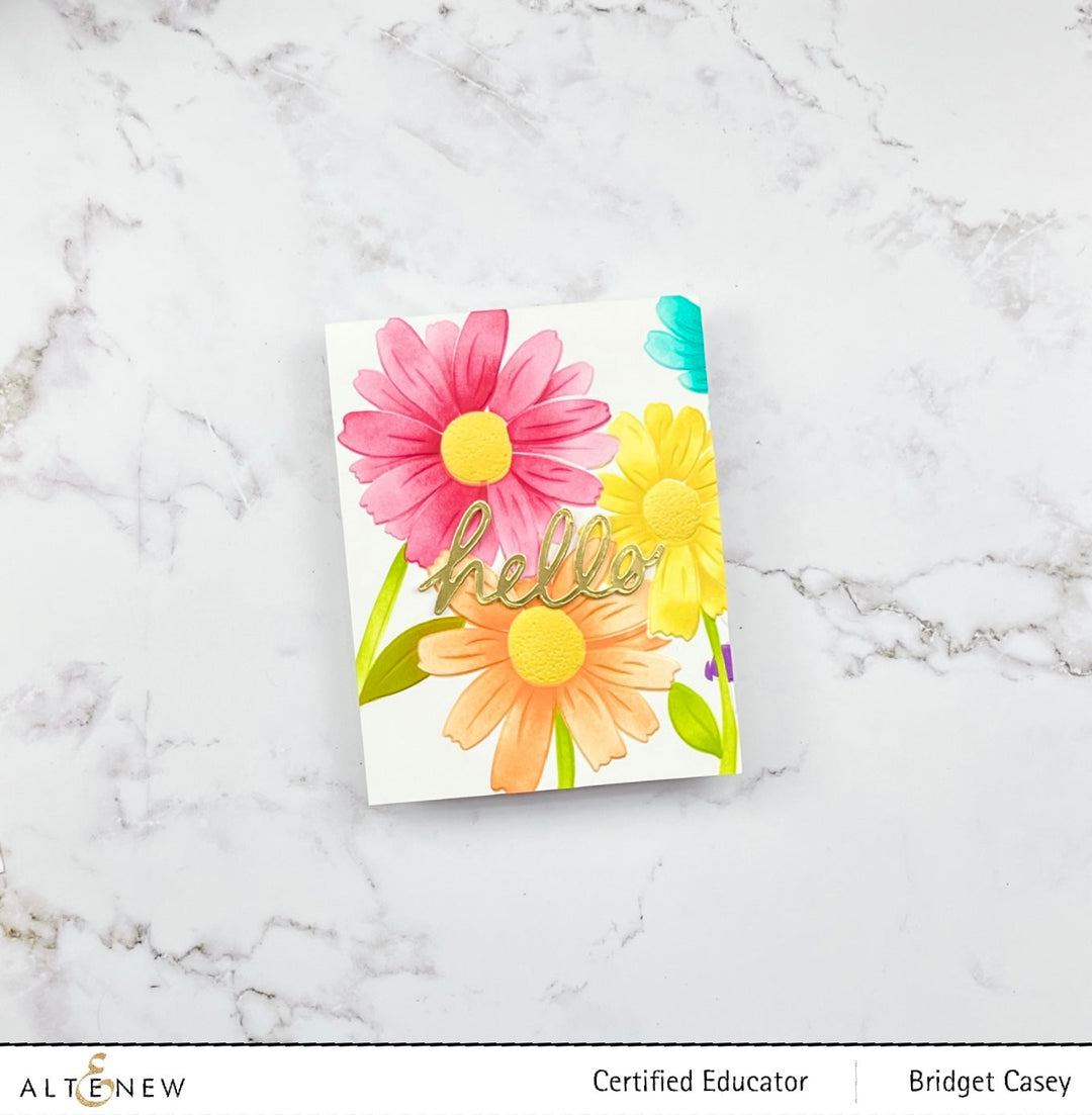 Class Daisies