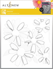 Class Daisies