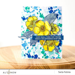 Clear Stamps A Splash of Color Stamp Set