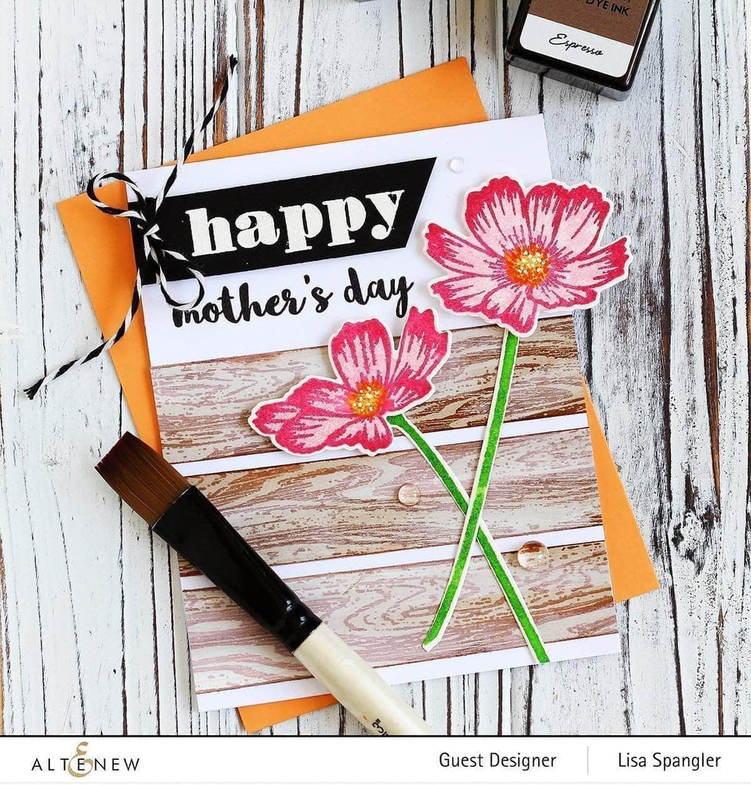 Clear Stamps A Walk in the Woods Stamp Set