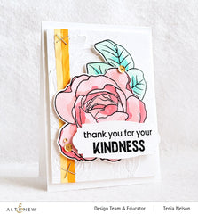 Clear Stamps Ambridge Rose Stamp Set