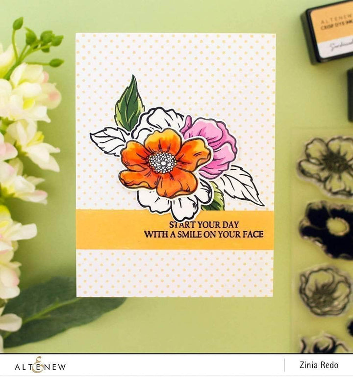 Clear Stamps Dainty Swiss Dots Stamp Set