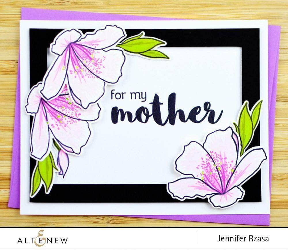 Clear Stamps Family Matters Stamp Set